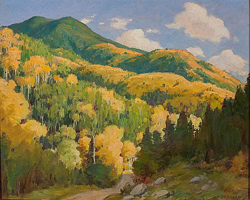 Aspens in Hondo Cañon Near Twining